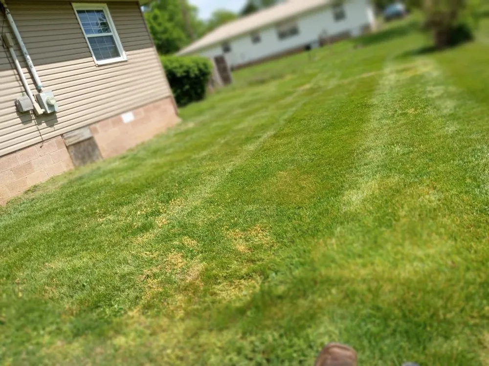 Slide of Easterday Emporium