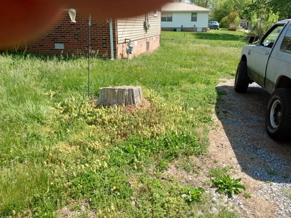 Slide of Easterday Emporium