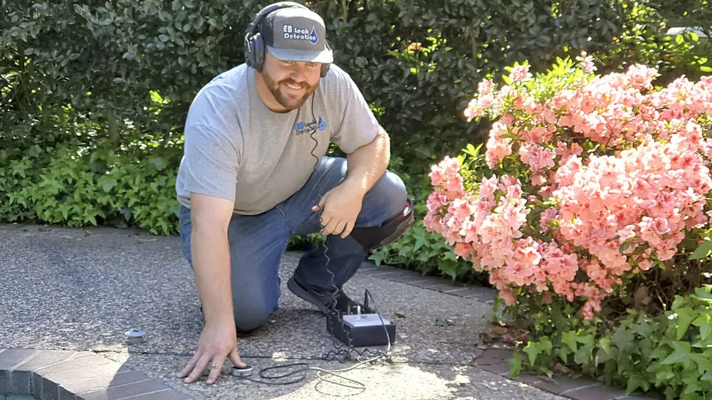 Slide of EB Leak Detection