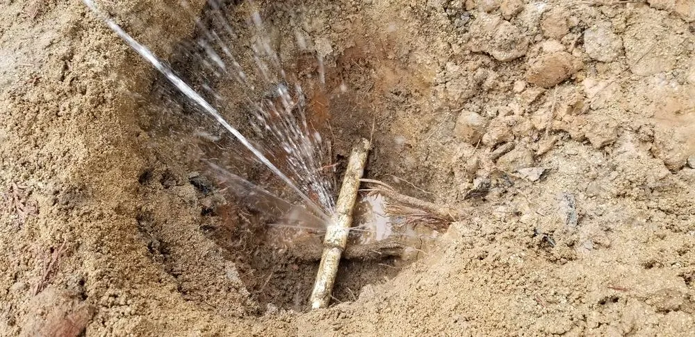 Slide of EB Leak Detection