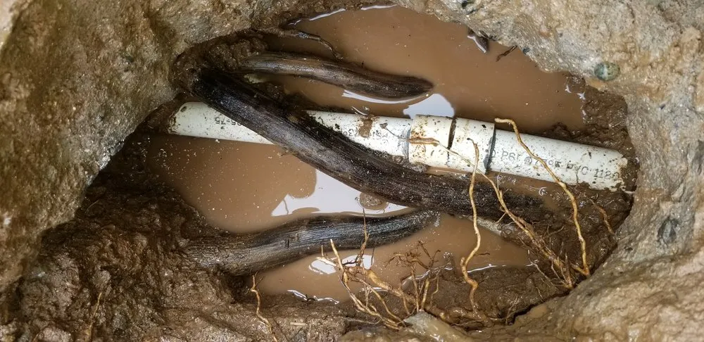 Slide of EB Leak Detection