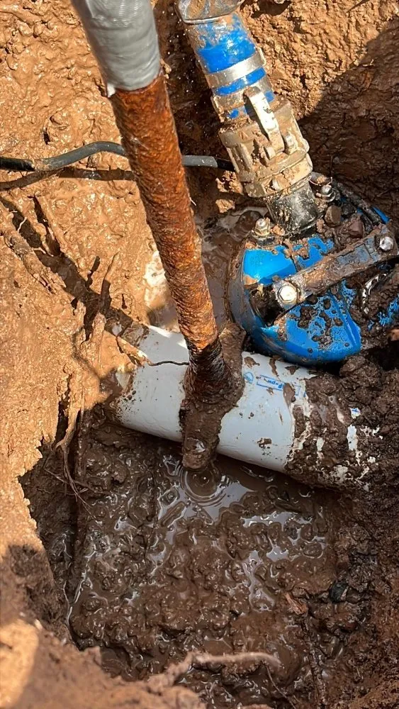 Slide of E&B Painter