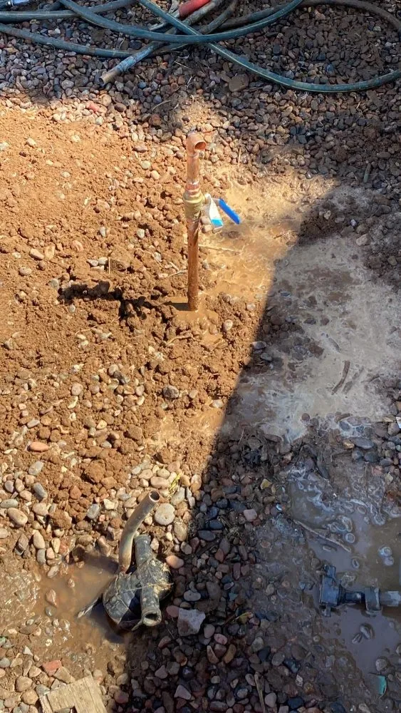 Slide of E&B Painter