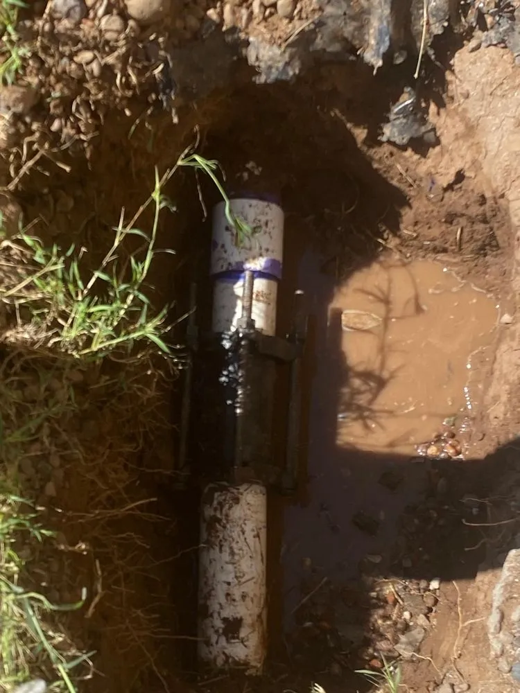 Slide of E&B Painter