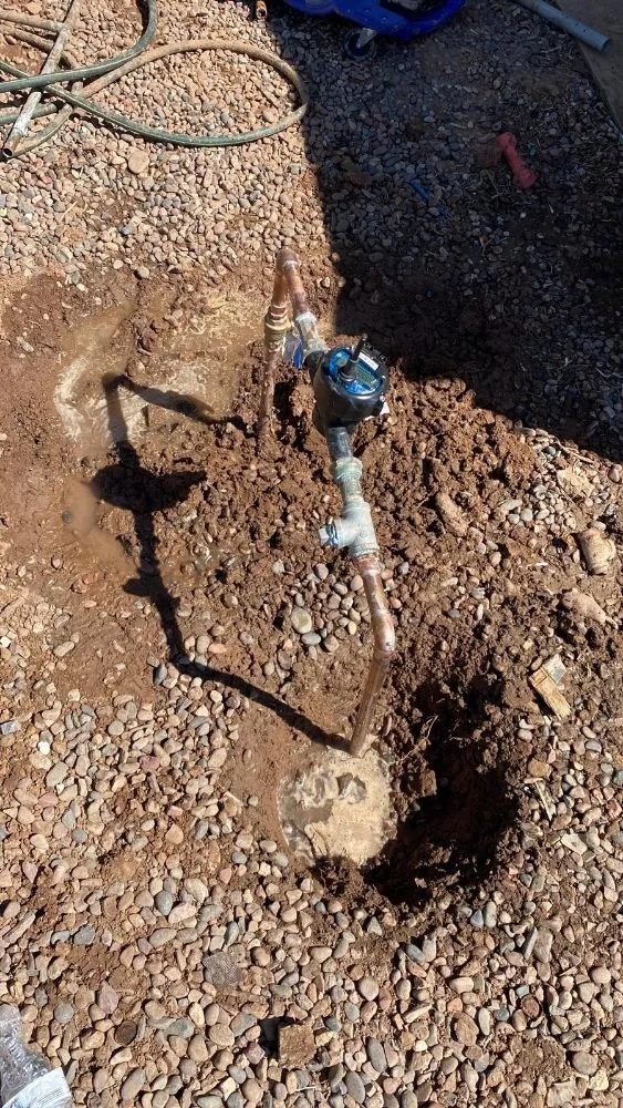 Slide of E&B Painter