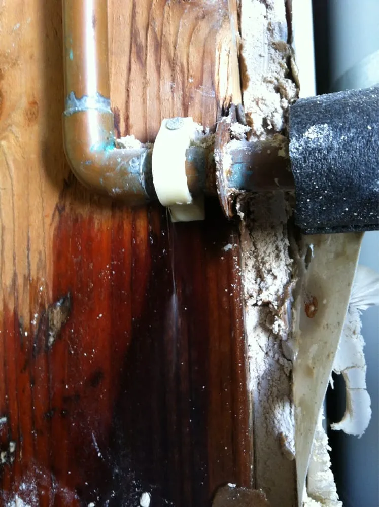 Slide of EC Rooter & Plumbing