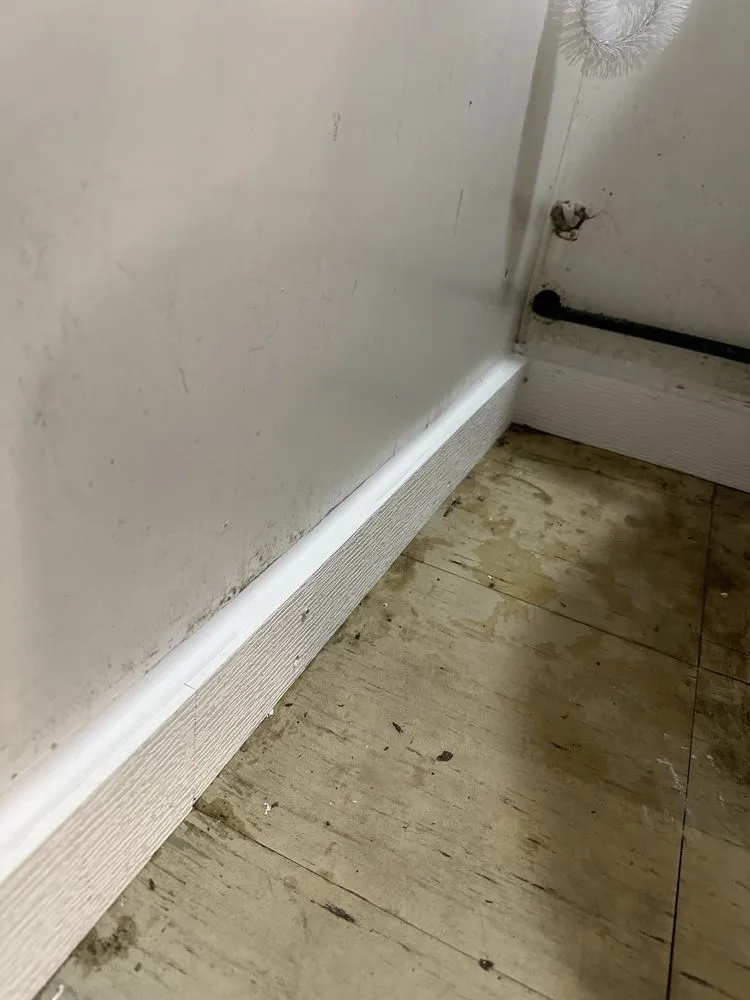 Affordable drain cleaning for homes in Millsboro, DE by Echo Facility Solutions