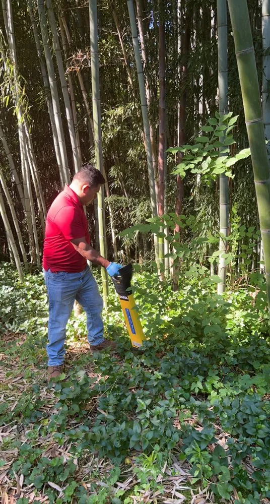 Slide of Echo Leak Detection