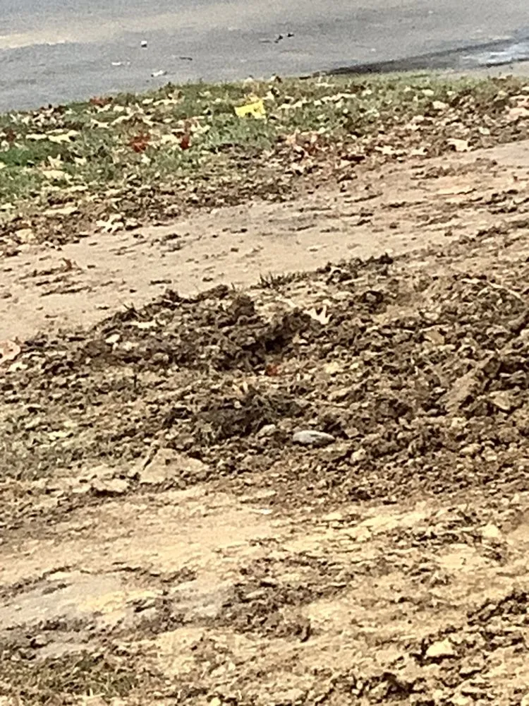 Slide of Eco Plumbers Electricians And HVAC Technicians