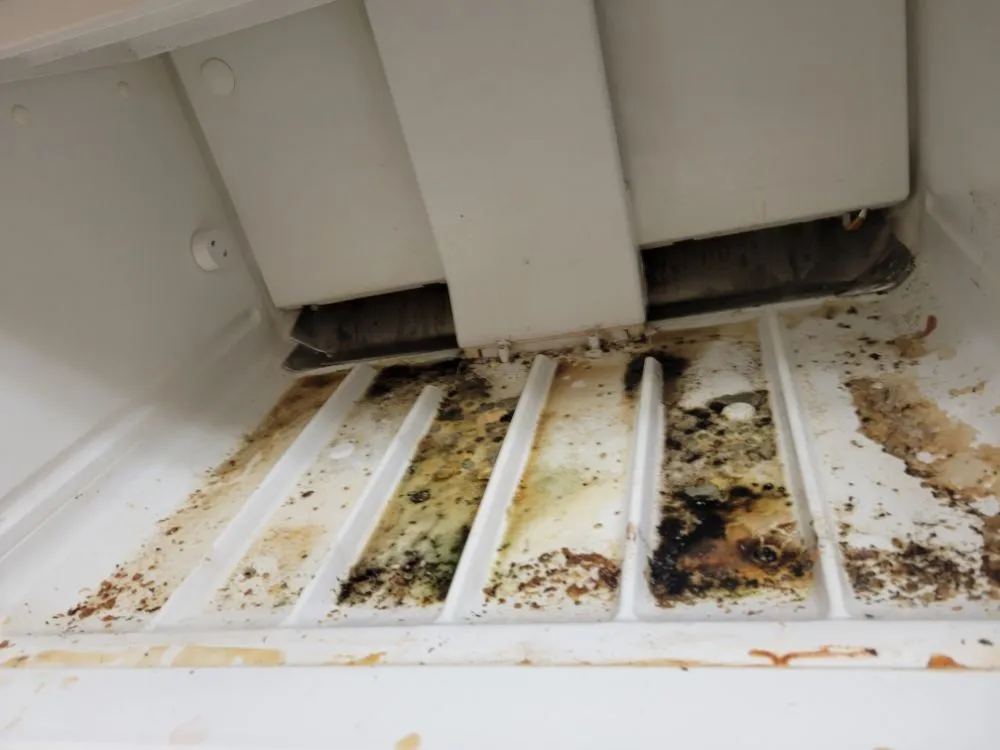 Slide of Economical Property Maintenance