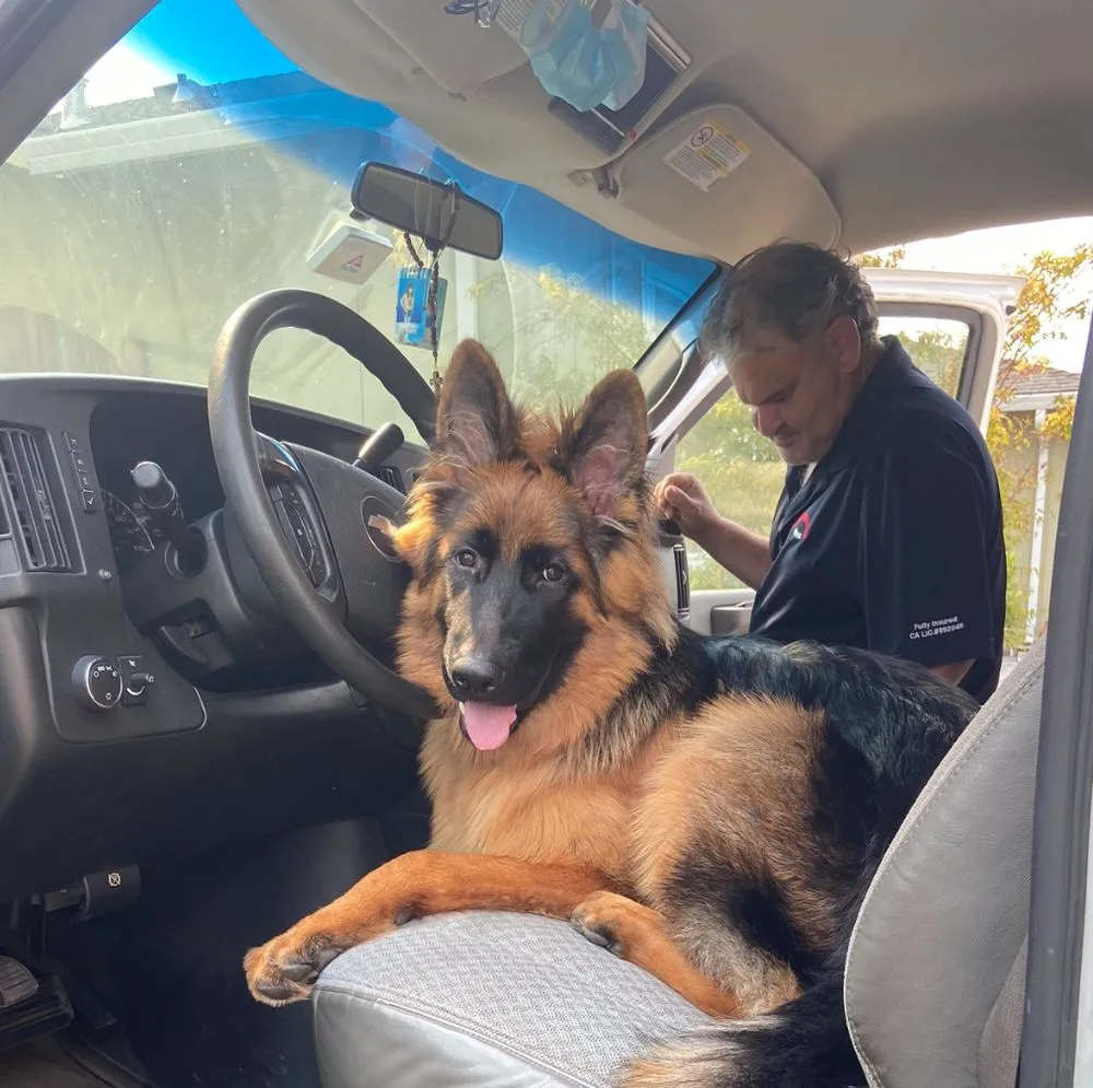 Slide of Economy Rooter, Inc.