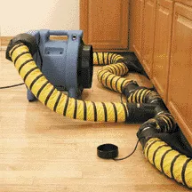 EcoTreck Environmental Logo