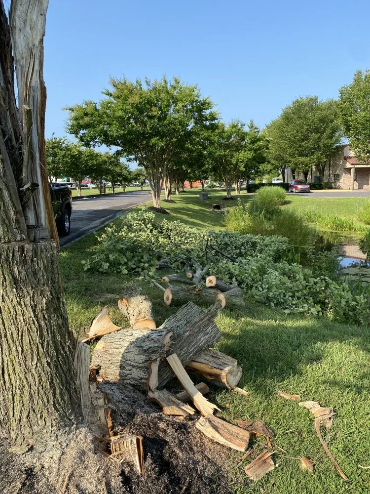 Slide of ECS Property Services