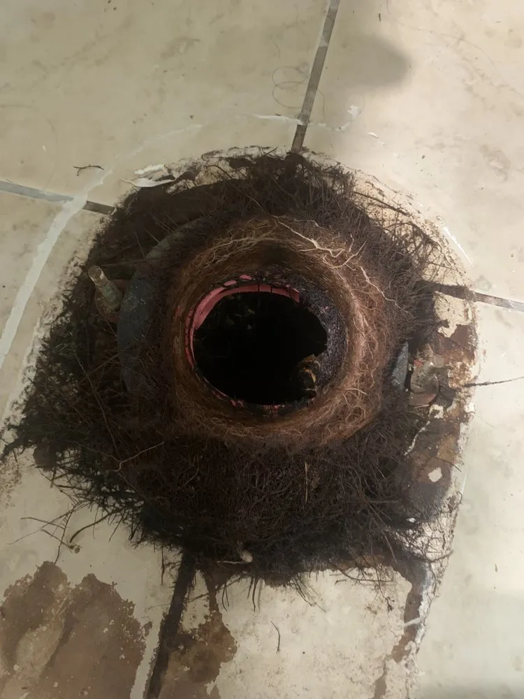 Slide of E.D. BEEZ Plumbing service