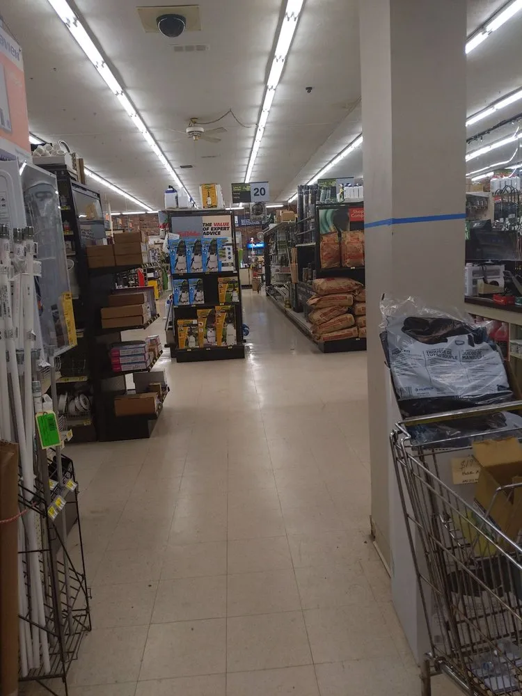 Reliable drain cleaning in Williamsville, NY by Ed Young's Plumbing Service and Hardware Store
