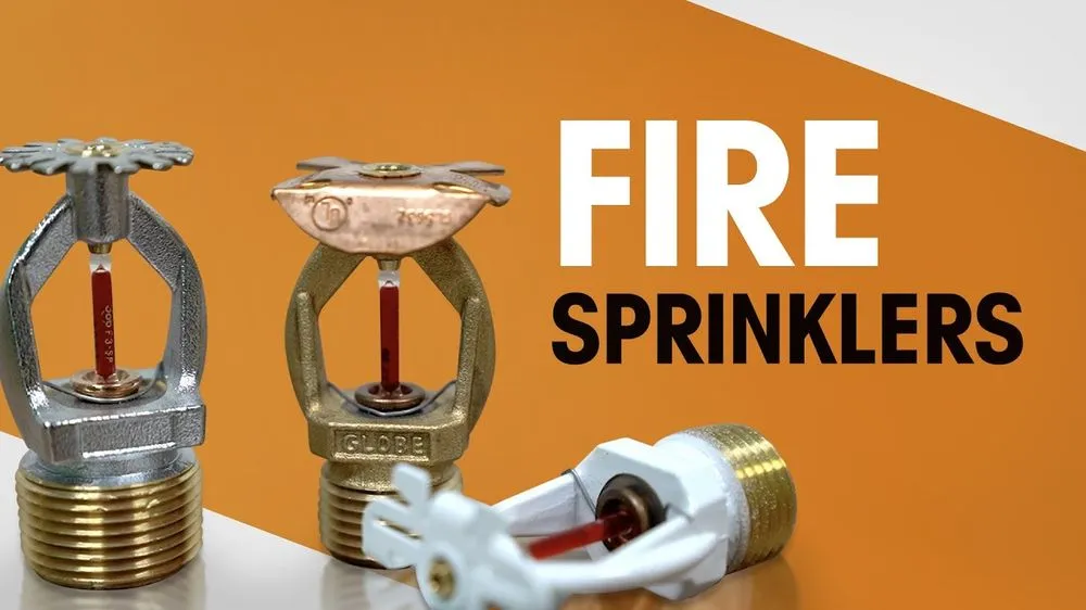 Slide of Eddie B Fire