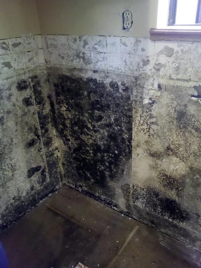 Professional drain cleaning experts serving Santa Rosa, CA - Edison's Handyman Services