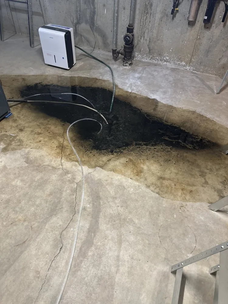 Slide of ED's Drain Cleaning