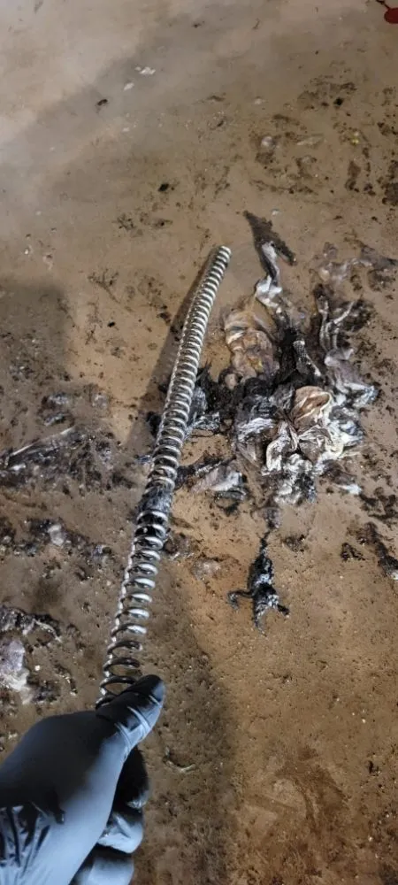 Slide of ED's Drain Cleaning