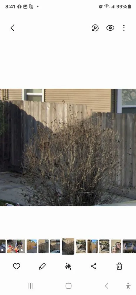 Slide of Ed's Handyman