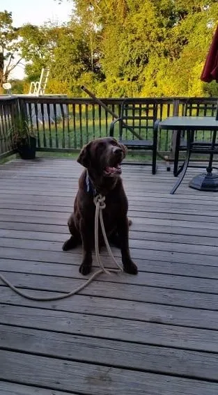 Slide of Edward R Carroll Heating & Cooling