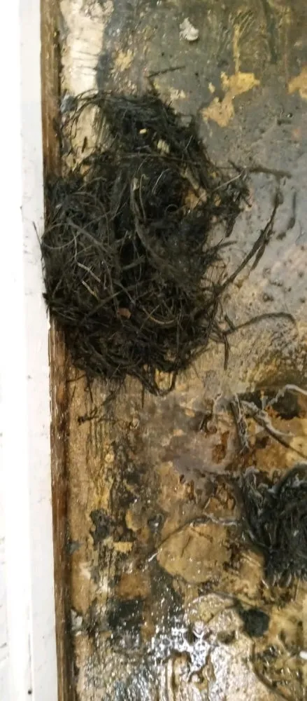 Slide of Edwards plumbing sewer and electrical