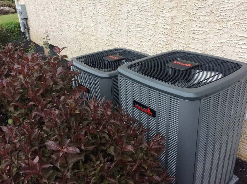 Slide of Edwin Stipe