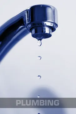 Slide of Edwin Stipe