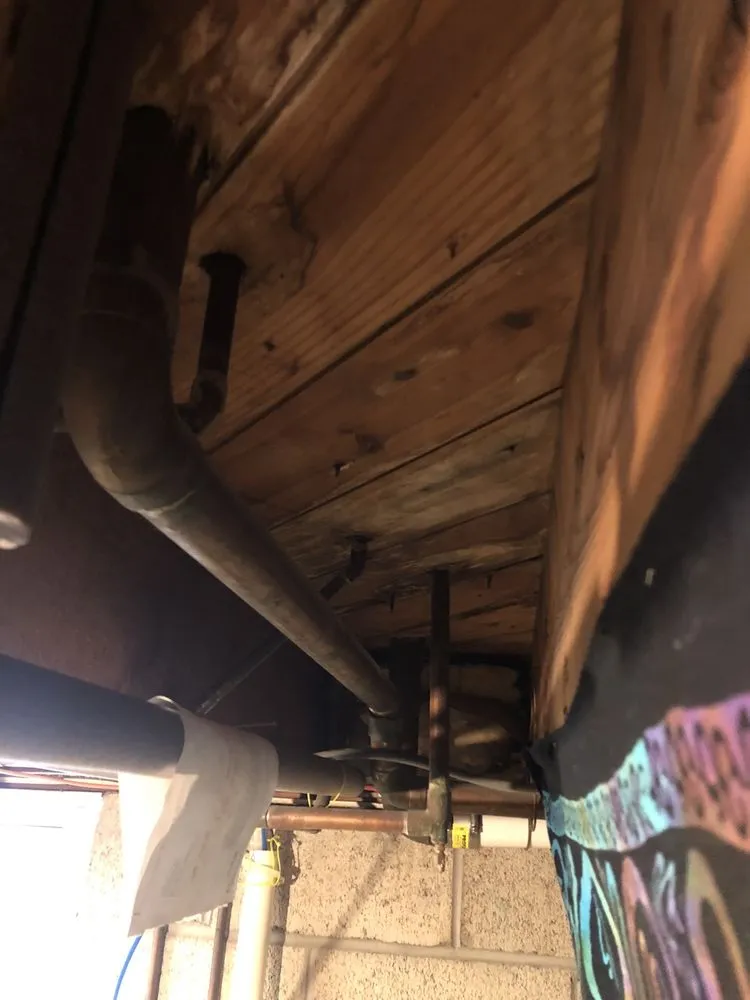 Slide of Edwin Stipe