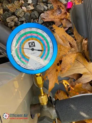 Efficient Air Services