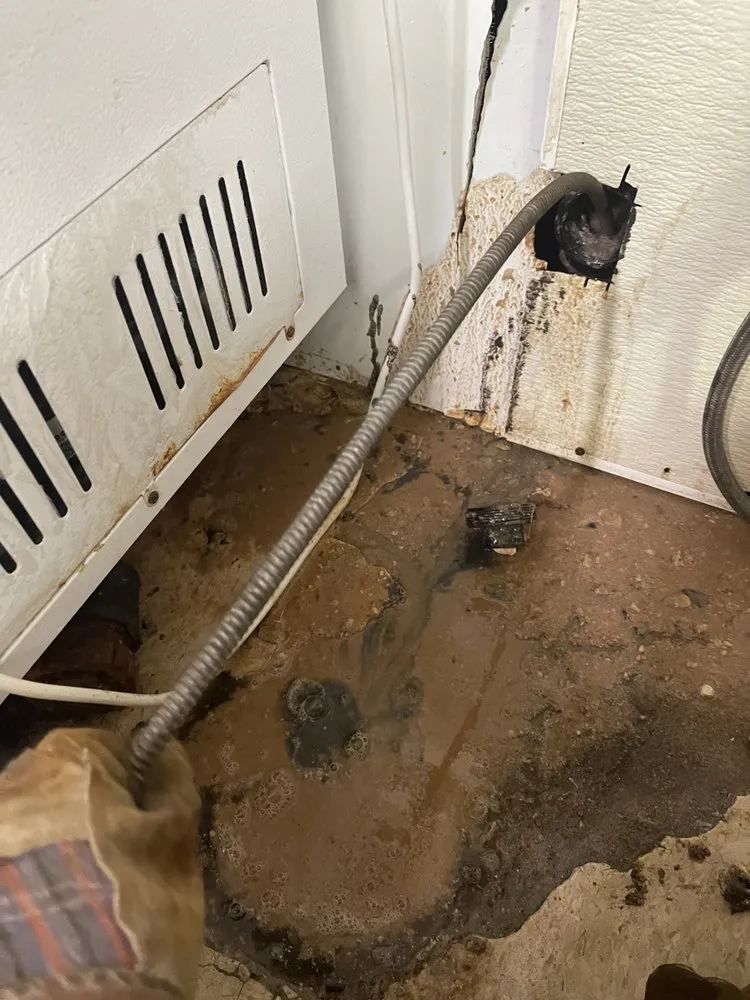 Slide of E&j Castle Rooter