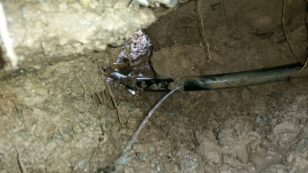 Slide of El Amigo, Inc