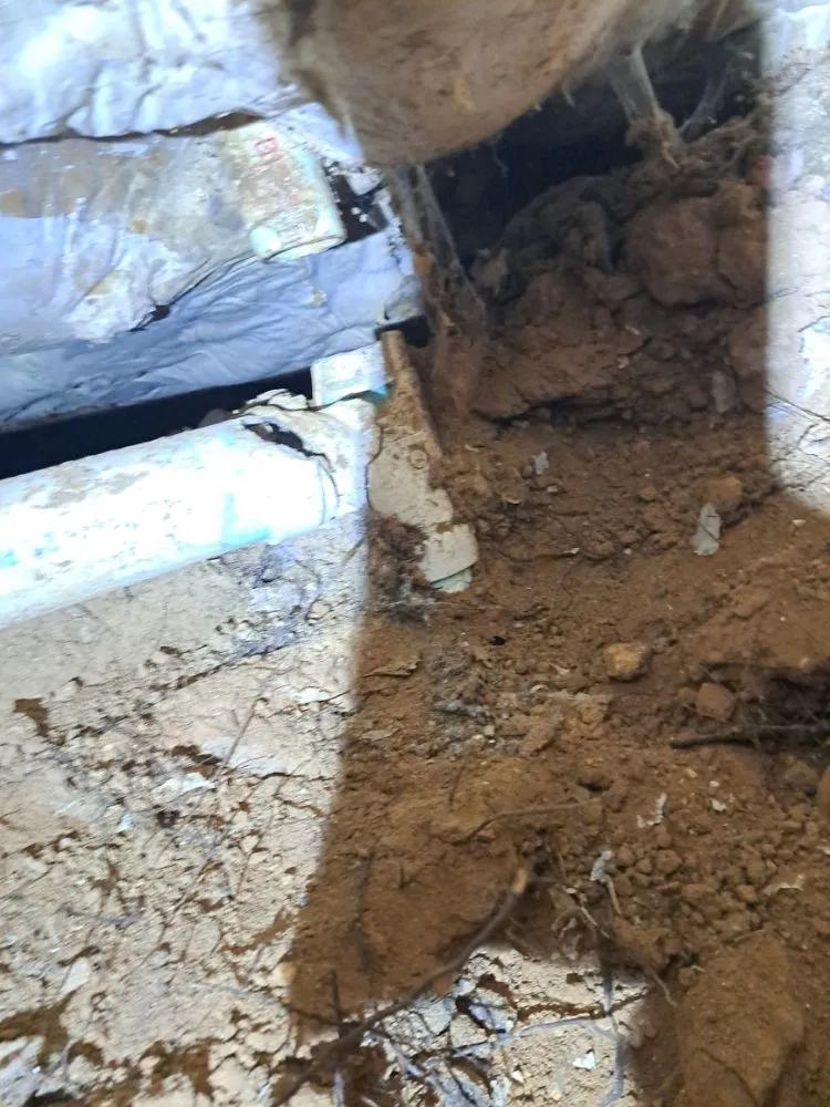 Slide of El Armadilo