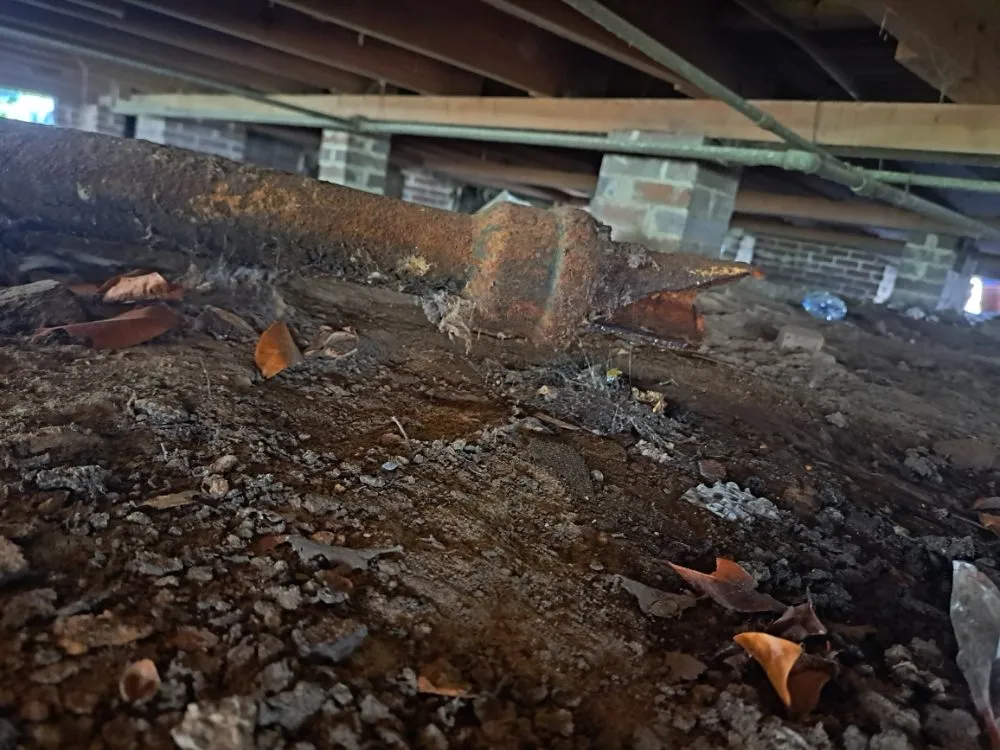 Slide of El Armadilo