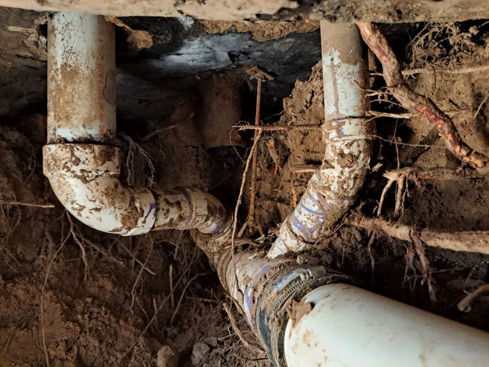 Slide of El Armadilo