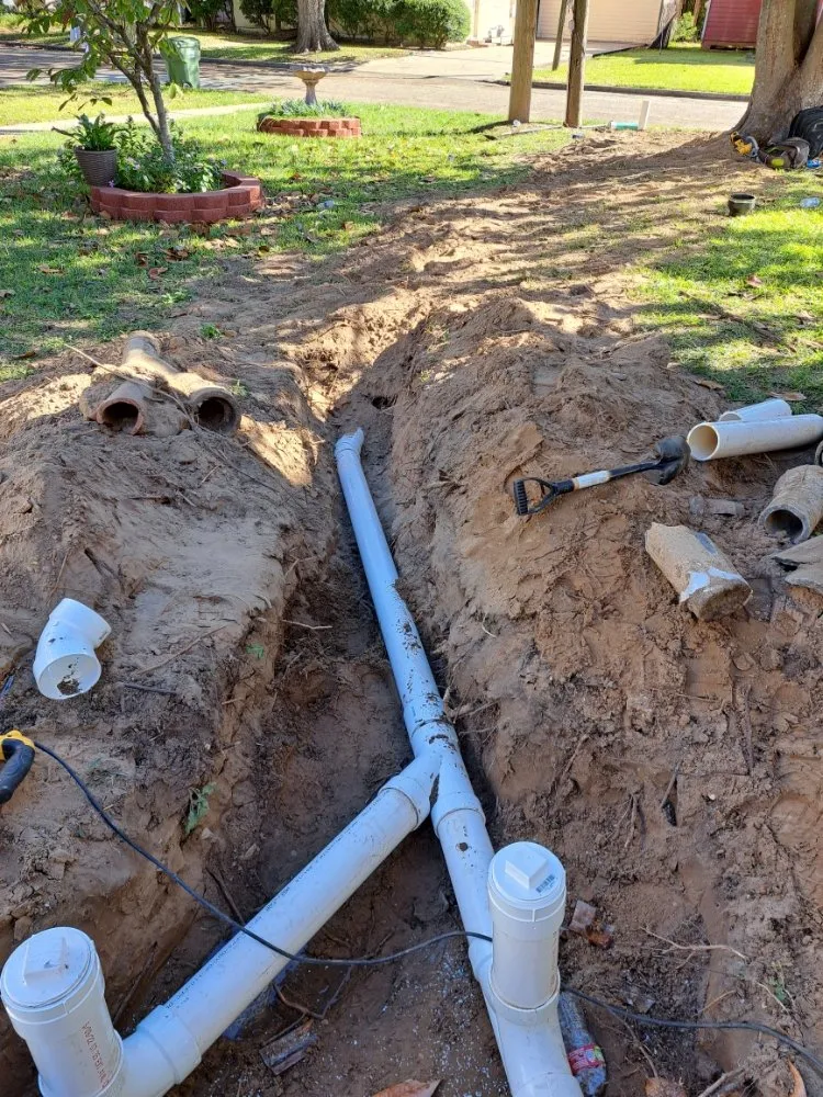 Slide of El Armadilo