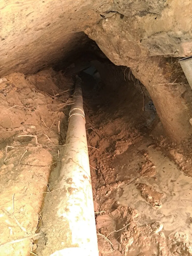 Slide of El Armadilo