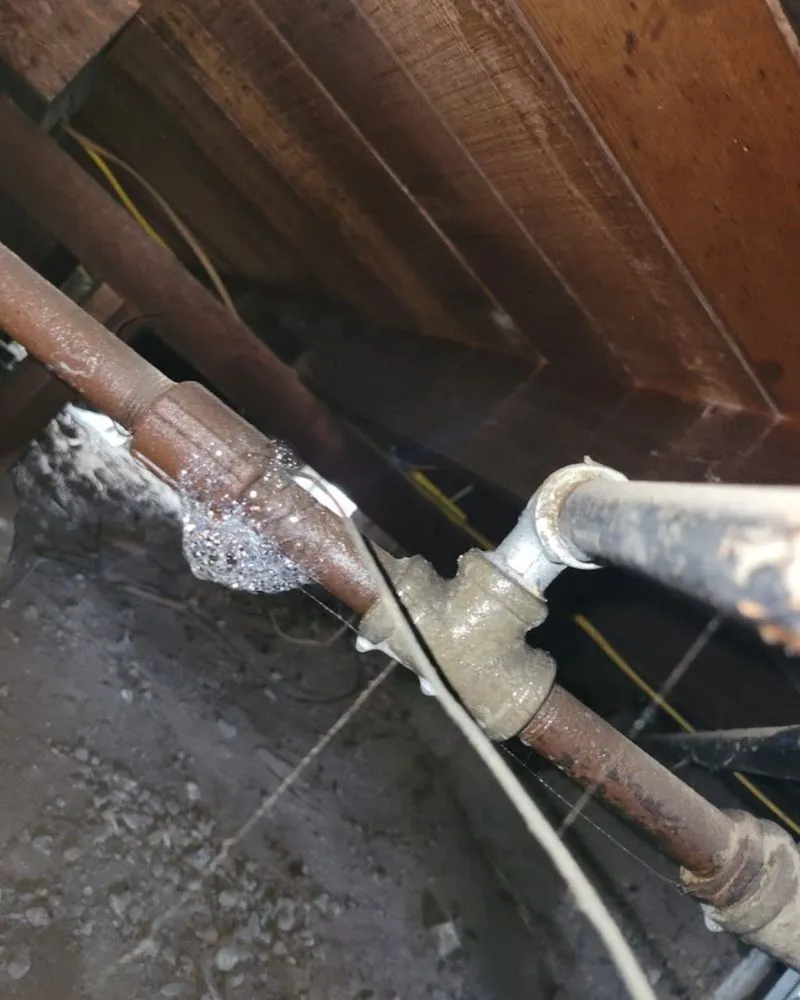 Slide of """"El Dude"""" Plumbing Solutions