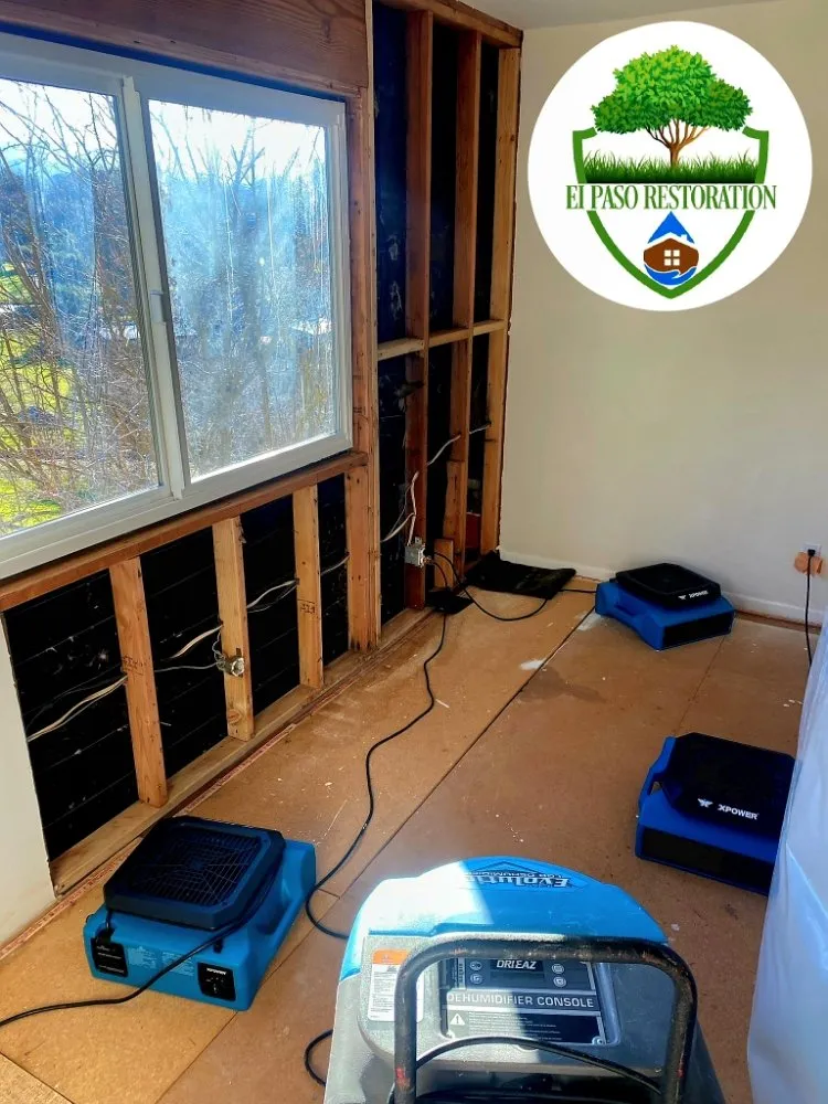 Slide of El Paso Restoration