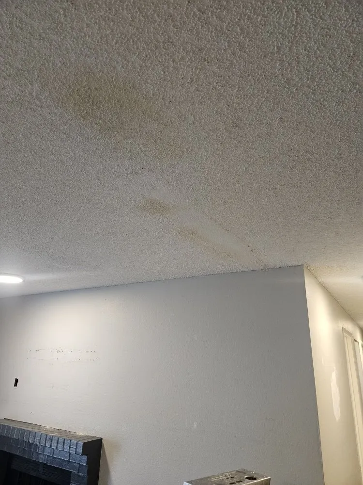 Slide of El patron Remodeling