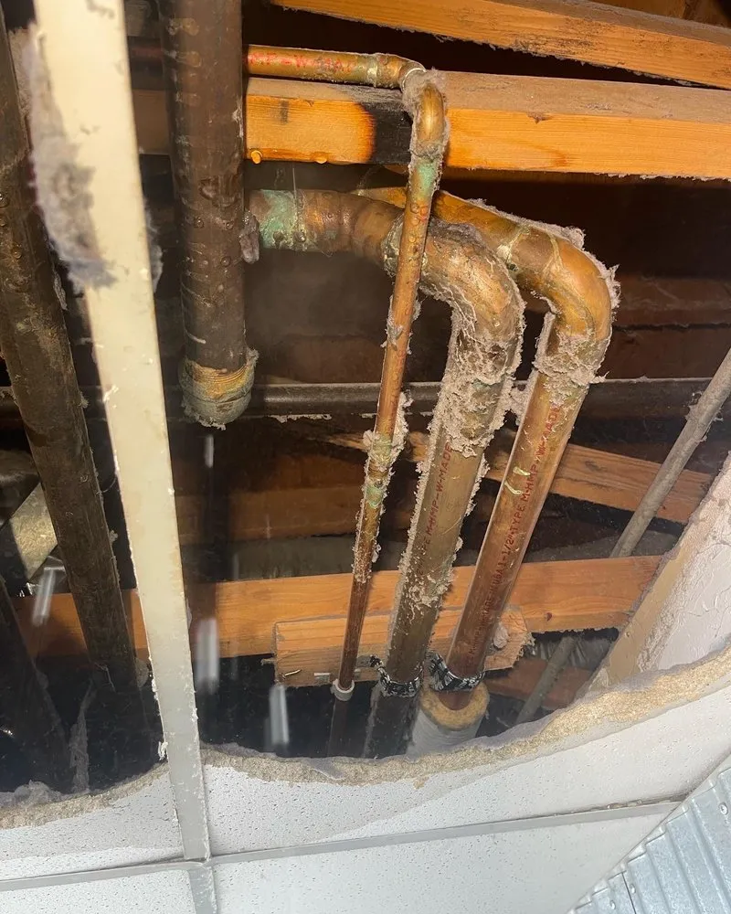 Slide of El Plomero Del Pueblo