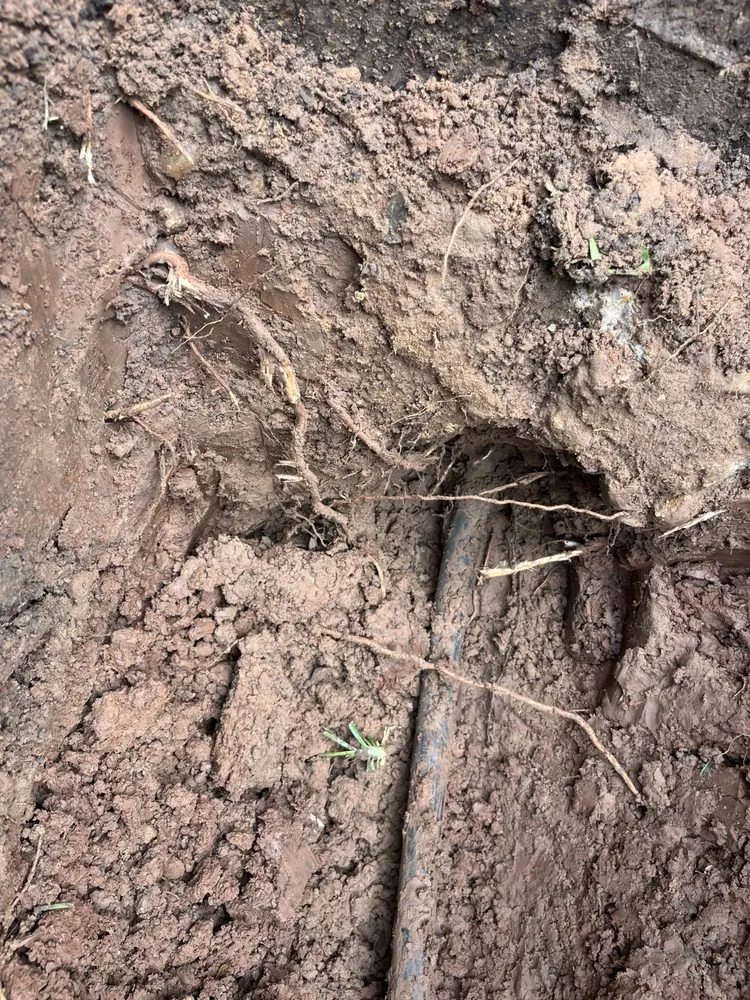 Slide of E&L plumbing