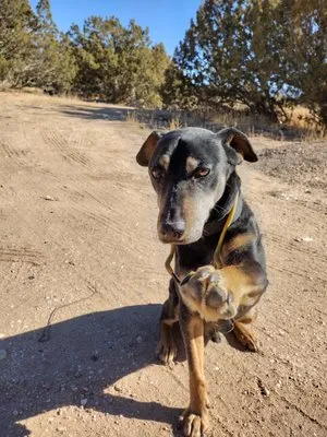 El Retiro Landscaping Logo