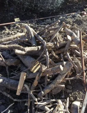 Reliable emergency plumbing in El Sobrante, CA by El Sobrante Sewer Repair