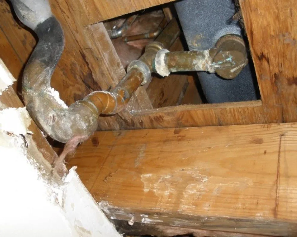 Slide of El Toro Plumbing