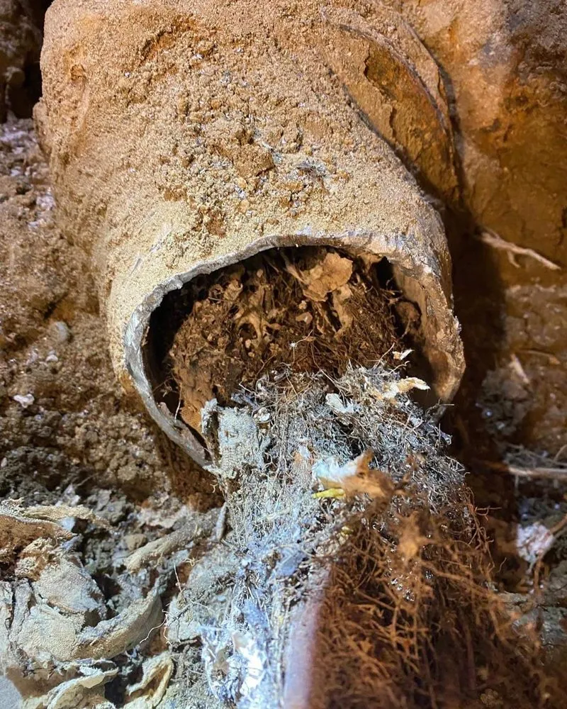 Slide of Electric Snake Sewer and Drain Service