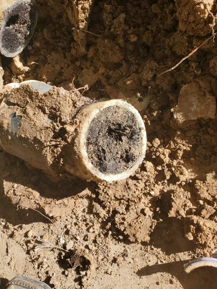 Slide of Elephant Plumbing