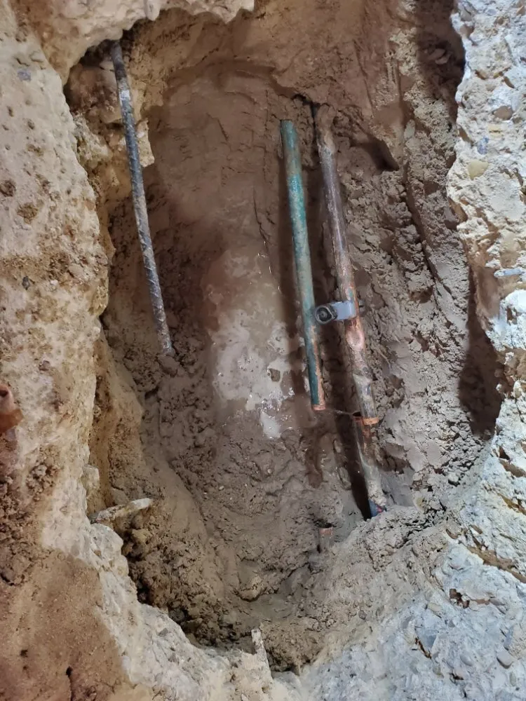 Slide of Elephant Plumbing