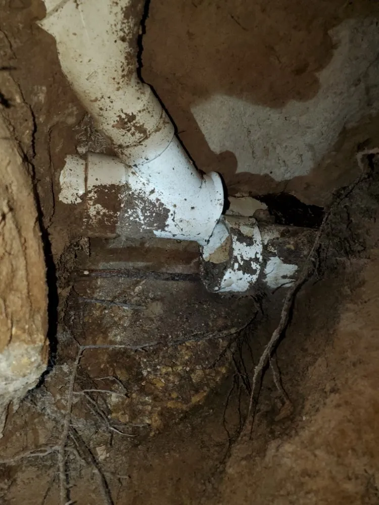 Slide of Elephant Plumbing