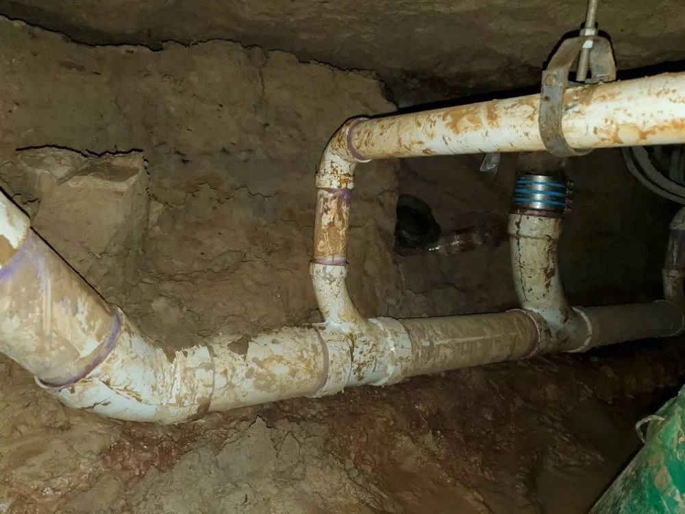 Slide of Elephant Plumbing